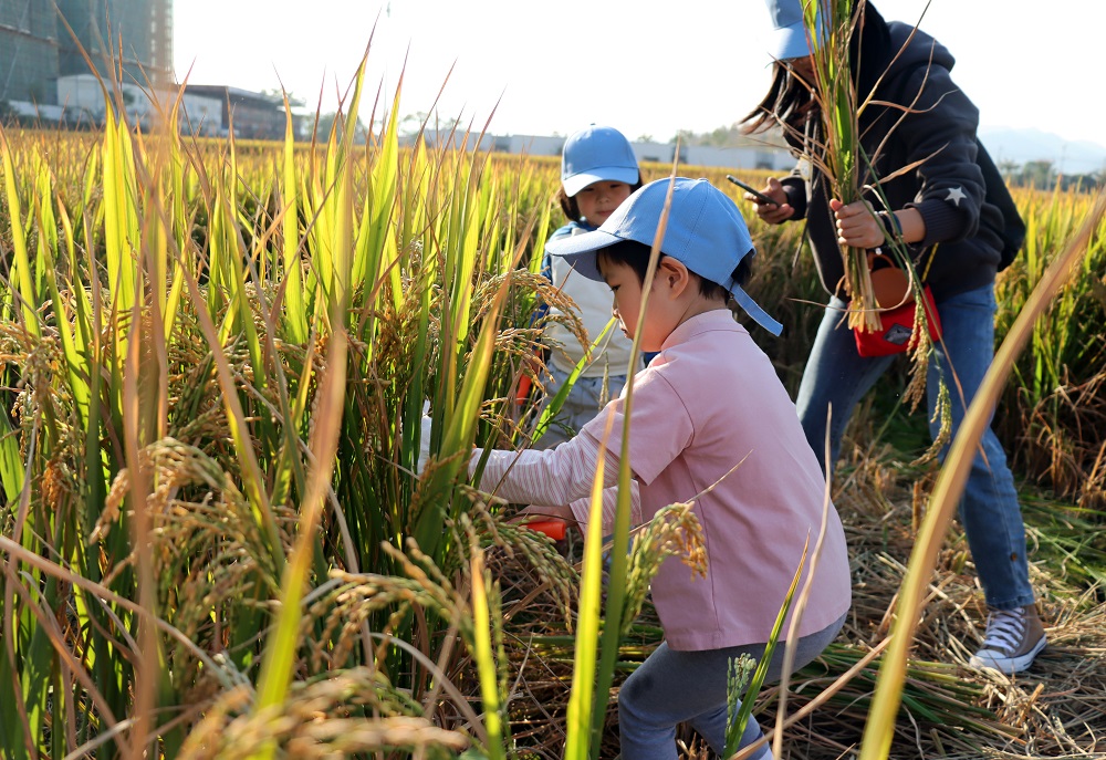 The SIO organized the parent-child science popularization and research activity and the visit to Chi
