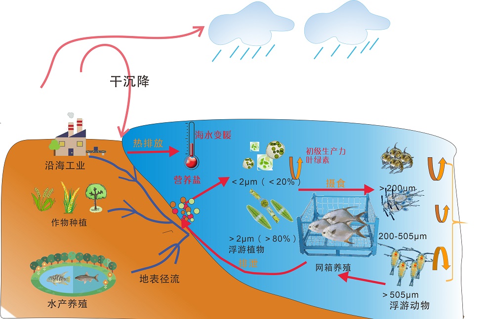 Relevant research in the ecological laboratory reveals the evolution pattern of plankton in the Xian