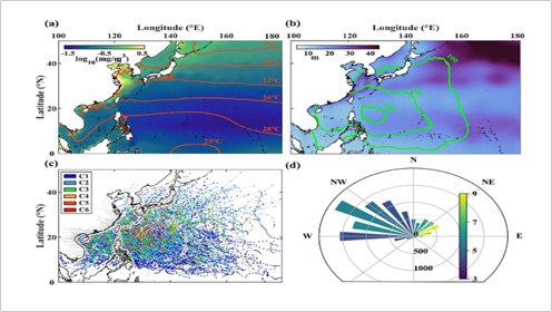 Upper ocean structure determines the contrasting typhoon-induced chlorophyll-a responses in the northwest Pacific
